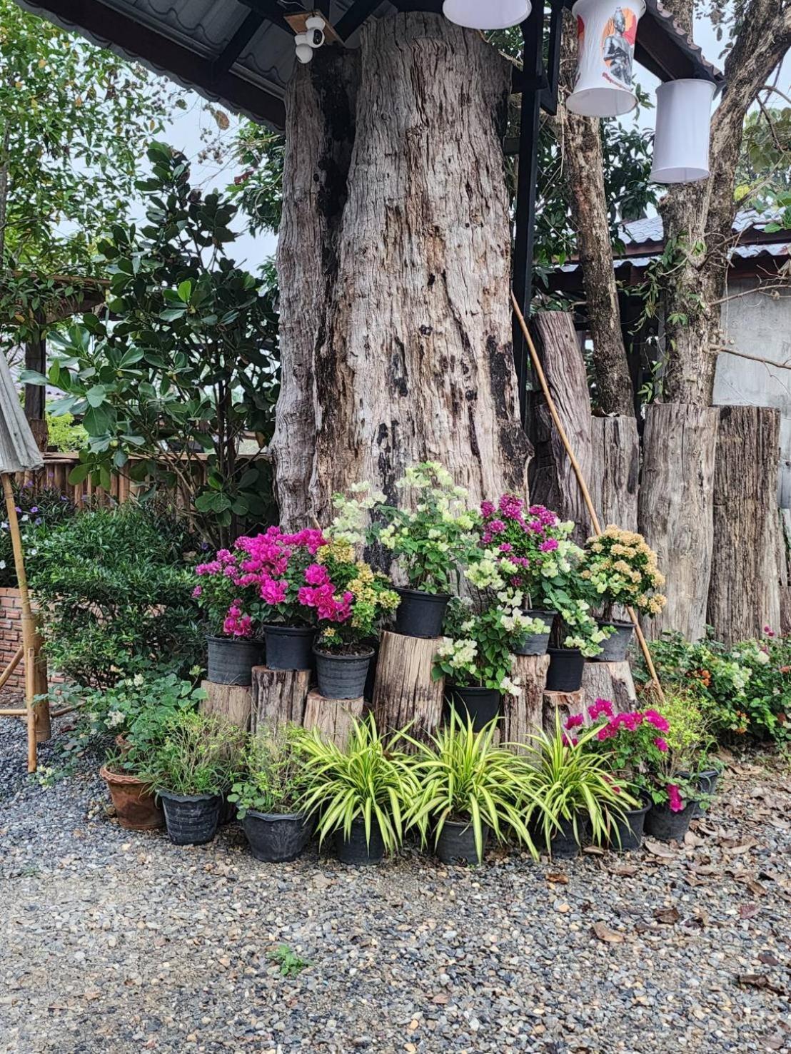 Suk Sabai Homestay Sukhothai Exteriör bild